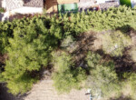 DJI_0343