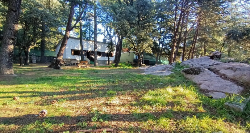 Descubre cómo convertir tu chalet en la Sierra de Madrid en una fuente de ingresos con Alvaria